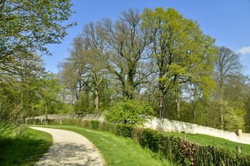 Fototapeta na wymiar Chemin d'accès vers le mur d'enceinte d'origine du domaine de l'abbaye du Rouge-Cloître à Auderghem