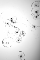 Cracked glass on a white background texture