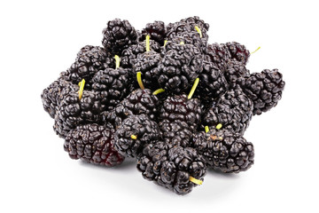 bunch of mulberry isolated