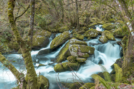 fervenzas do cach&oacute;n
