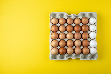 chicken eggs place for text