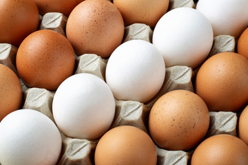 chicken eggs closeup