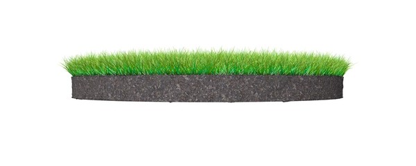 3d rendering of a grass patch isolated on a white background