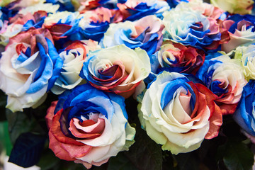 Fototapeta na wymiar close-up beautiful bouquet of unusual flowers - blue, red and white roses