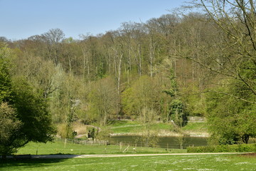 Le petit étang du Lange Gracht en bordure des hêtres majestueux de la forêt de Soignes au domaine de l'abbaye du Rouge-Cloître à Auderghem 