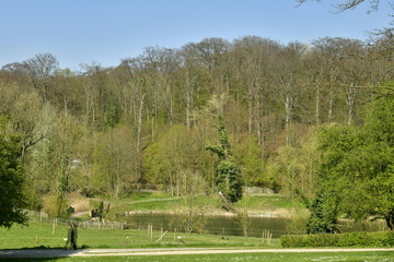 Le petit étang du Lange Gracht en bordure des hêtres majestueux de la forêt de Soignes au...