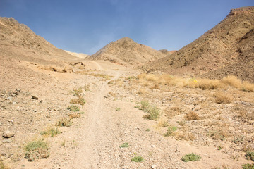 dry mountain in rocky desert outdoor wilderness natural environment scenic landscape with small trail for hiking and climbing, sand stones ground and vivid blue sky background