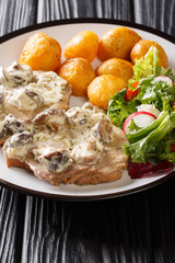 Portion of pork steak in a creamy mushroom sauce with a garnish of new potatoes and vegetable salad close-up. vertical