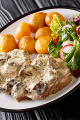 Pork steak in creamy mushroom sauce with a side dish of fresh potatoes and vegetable salad close-up. vertical