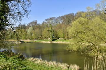 Fototapeta na wymiar Le petit étang du Lange Gracht en pleine végétation luxuriante de la forêt de Soignes à l'abbaye du Rouge-Cloître à Auderghem