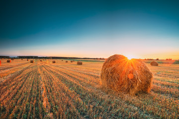 Rural Landscape Field Meadow With Hay Bales During Harvest In Sunny Evening. Late Summer