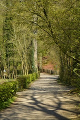 Allée sous le feuillage luxuriant des arbres entre les étangs du Moulin et des Clabots au domaine de l'abbaye du Rouge-Cloître à Auderghem
