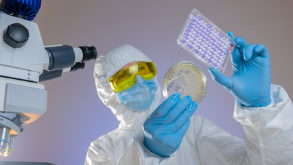A microbiologist compares bacteria from a Petri dish with samples in a medical plate.
