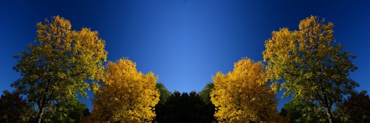 Autumnal Symmetrical Impressions from Spektepark in Berlin Spandau from October 1, 2015, Germany