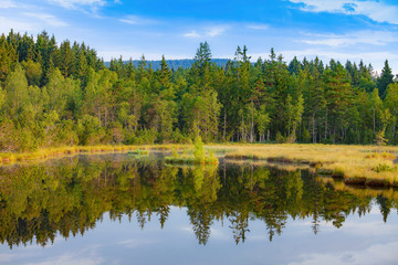 Fototapeta na wymiar Devil`s Lake in the National park Sumava,Czech Republic
