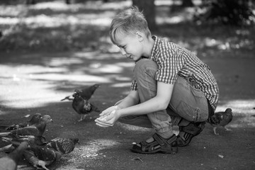 Happy caucasian child of ten years old feeding group of many city doves in green summer or fall urban park. Horizontal black and white monochrome photography.