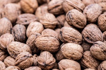 Gros plan sur des noix
