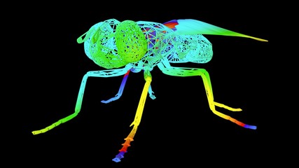 3d rendering of an artistic  object made with colorful rope lines isolated on black