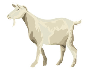 goat icon cartoon