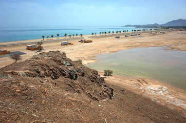 Arabian peninsula landscape and long Dibba beach with line of palm trees on Gulf of Oman, Fujairah, United Arab Emirates