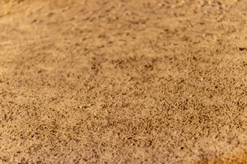 a closeup texture shoot to granular sand