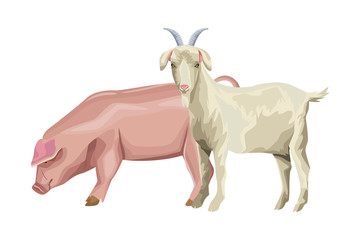 Obraz na płótnie Canvas pig and goat