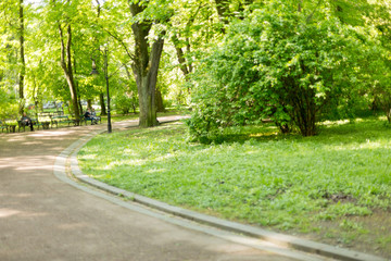 Fototapeta na wymiar paths in the Park. spring square
