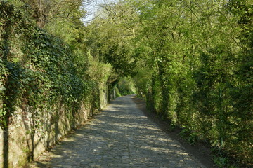 Chemin ombragé longeant un mur en pierres vers un endroit plus éclairé au domaine de l'abbaye du Rouge-Cloître à Auderghem 