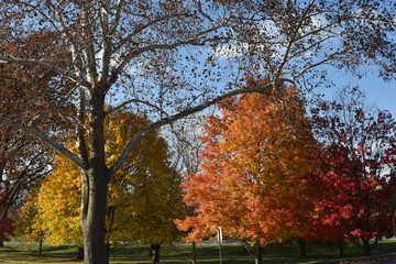 Naklejka premium all stages all colors