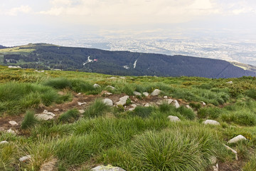 Summer Landscape near Cherni Vrah peak at Vitosha Mountain, Sofia City Region, Bulgaria