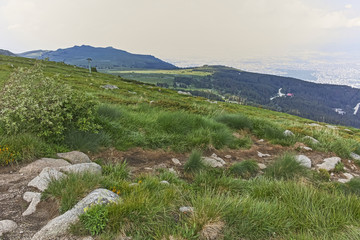 Fototapeta na wymiar Summer Landscape near Cherni Vrah peak at Vitosha Mountain, Sofia City Region, Bulgaria