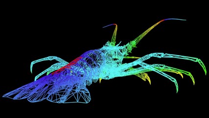 3d rendering of an artistic object made with colorful rope lines isolated on black