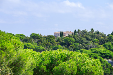 Fototapeta na wymiar Landscape of typical landscape of Cote D'Azure, France