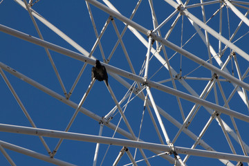 detail of a wheel on background of blue sky
