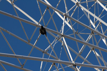 Obraz premium detail of a wheel on background of blue sky