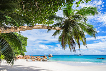 Catamarans at anse lazio on the seychelles 69