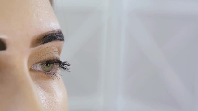 master is removing dye from female brows by cotton swab after painting procedure