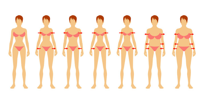 Seven fashion Woman figure type. Flat image