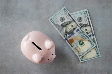 Pink piggy bank and dollar banknotes on  gray background.
