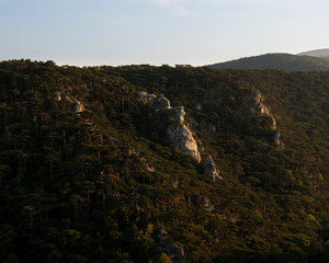 woods on a hill with rock cliffs showing