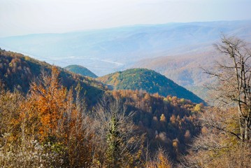 Obraz premium What a colorful mountain