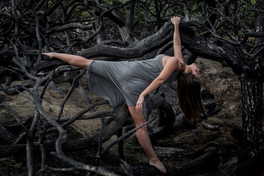 Young ballerina in grey wear with stretched out leg posing on branches of dry woods