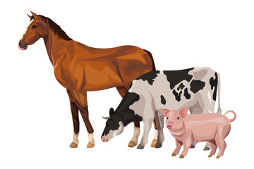 horse cow and pig