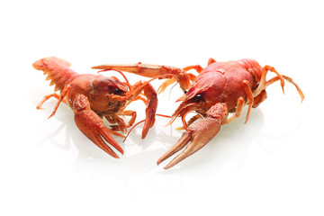 Red boiled crayfish isolated on white background