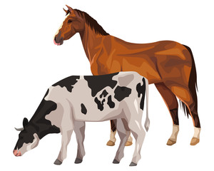 horse and cow