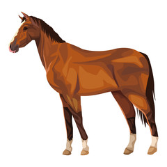 horse icon cartoon