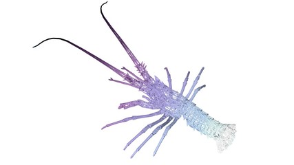 3d rendering of an artistic animal with reflection isolated on white background