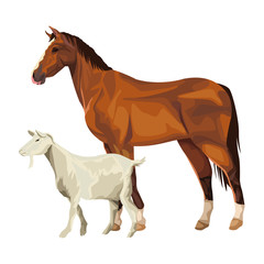 horse and goat