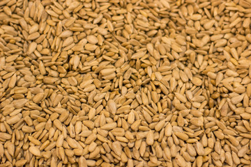 cleaned raw sunflower seeds textured background food concept in supermarket counter
