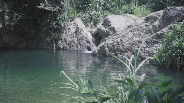 SLOW MOTION: panning behind a bit of shrubbery looking at Mango Waterfall in Adjuntas, Puerto Rico.